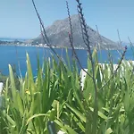 On Sight Myrties